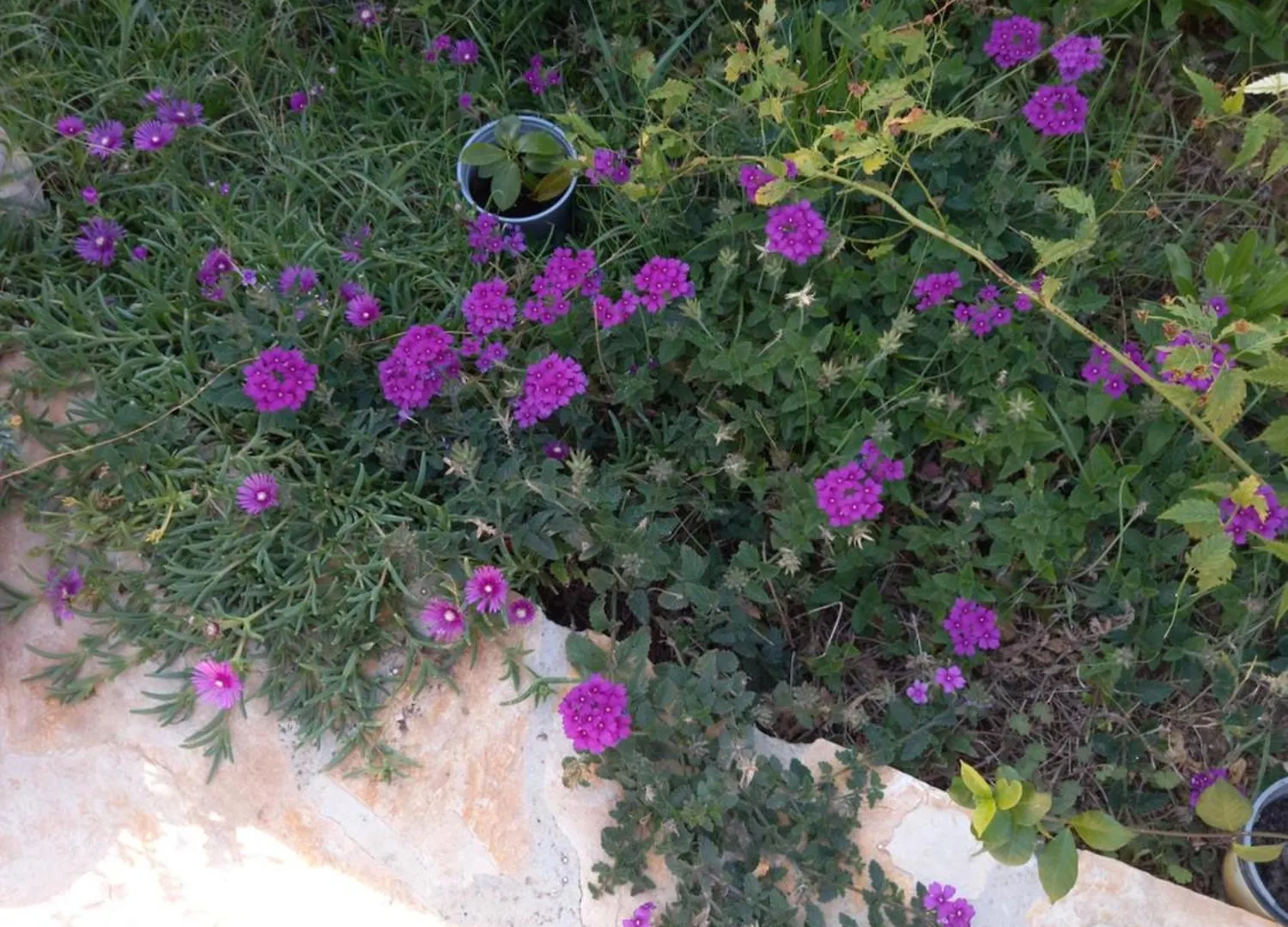 Apartman Sarah Biograd Na Moru 0*,