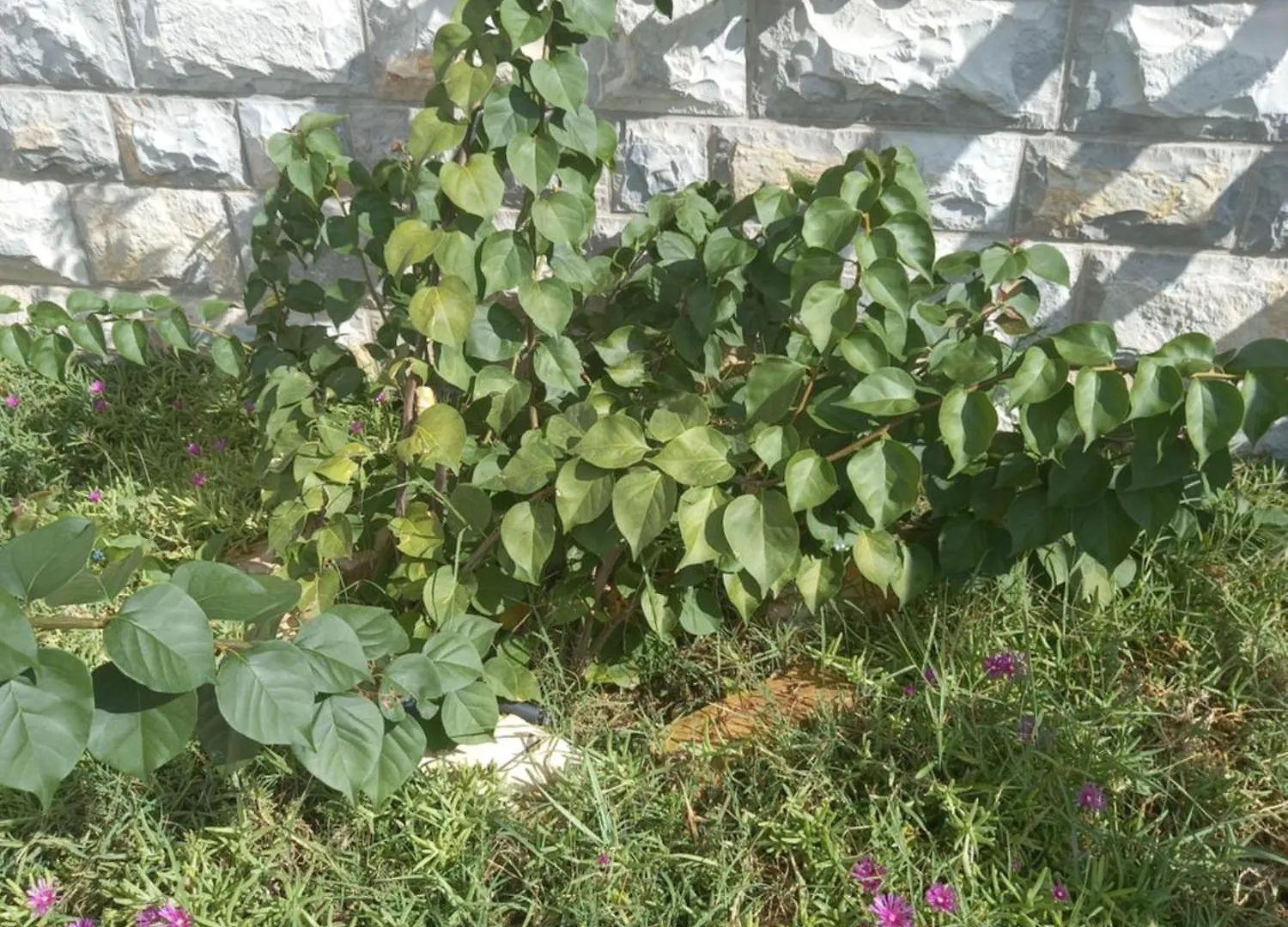 Apartman Sarah Biograd Na Moru Apartamento