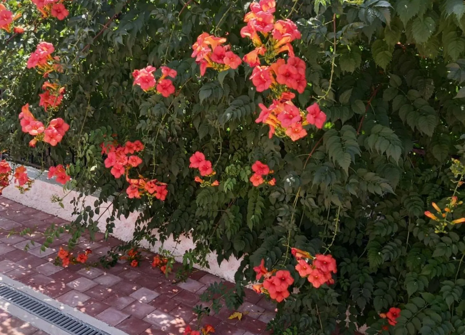 Apartamento Apartman Sarah Biograd Na Moru Croacia